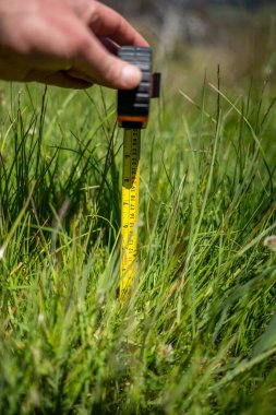 Avustralya 'daki bir çiftlikteki yemyeşil otlağı ölçmek. Veri güdümlü Kararları ve Yenilenebilir Tarım ve Arazi Üretiminin Geleceği için Sürdürülebilir Yönetimini Sembolize Etmek 