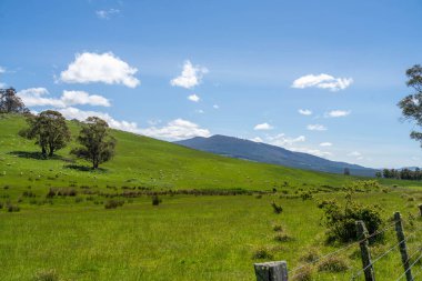 Green Pasture çiftliği sürdürülebilir tarım yapıyor Avustralya 'da yenilenebilir çiftliğin geleceği. Sağlıklı Toprak Yönetimi, Çevre Yönetimi ve Kırsal Peyzaj Gösterimi