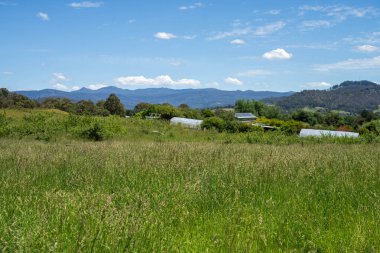 Green Pasture çiftliği sürdürülebilir tarım yapıyor Avustralya 'da yenilenebilir çiftliğin geleceği. Sağlıklı Toprak Yönetimi, Çevre Yönetimi ve Kırsal Peyzaj Gösterimi