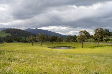 Green Pasture çiftliği sürdürülebilir tarım yapıyor Avustralya 'da yenilenebilir çiftliğin geleceği. Sağlıklı Toprak Yönetimi, Çevre Yönetimi ve Kırsal Peyzaj Gösterimi
