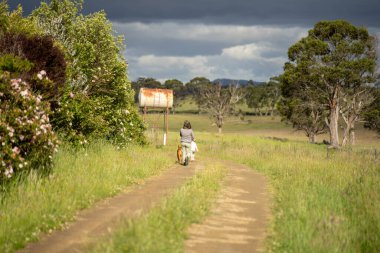 Yenileyici organik çiftçi, ot dokusu örnekleri alıyor ve bir çiftlikteki bitki gelişimine bakıyor. Bir çiftlikte sürdürülebilir tarım uygulaması