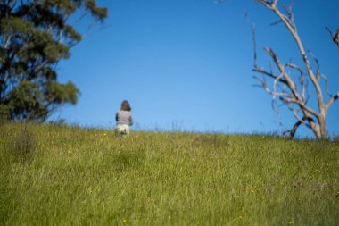 Yenileyici organik çiftçi, ot dokusu örnekleri alıyor ve bir çiftlikteki bitki gelişimine bakıyor. Bir çiftlikte sürdürülebilir tarım uygulaması