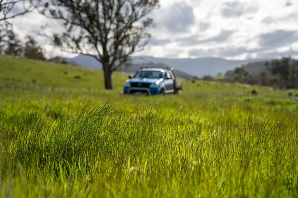 Yenilenebilir tarım çiftliğinde yemyeşil, uzun otlaklar. Lush Green Australian Farm Pasture 'a park edilmiş bir kamu aracı. Kırsal Taşımacılık ve Tarım İşlemleri Temsilcisi 