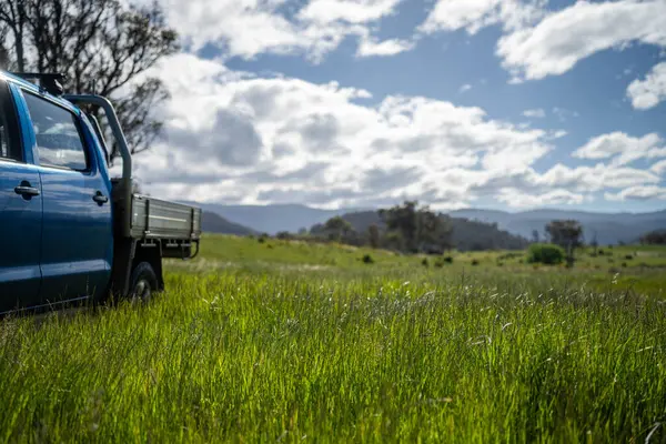 Bir çiftlikteki çim tarlasında bir kamyon. Taşrada, Avustralya 'nın taşrasında toprak bir yolda giderken bir çiftlikteki bir kamyonda.