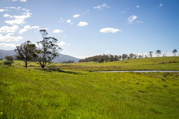 Green Pasture çiftliği sürdürülebilir tarım yapıyor Avustralya 'da yenilenebilir çiftliğin geleceği. Sağlıklı Toprak Yönetimi, Çevre Yönetimi ve Kırsal Peyzaj Gösterimi