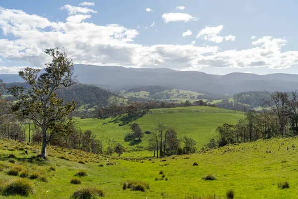 Green Pasture çiftliği sürdürülebilir tarım yapıyor Avustralya 'da yenilenebilir çiftliğin geleceği. Sağlıklı Toprak Yönetimi, Çevre Yönetimi ve Kırsal Peyzaj Gösterimi