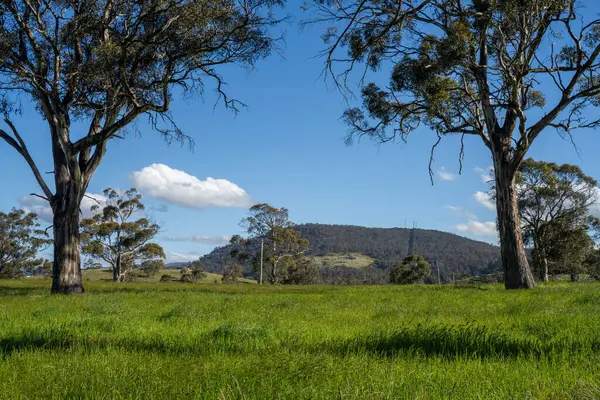 Green Pasture çiftliği sürdürülebilir tarım yapıyor Avustralya 'da yenilenebilir çiftliğin geleceği. Sağlıklı Toprak Yönetimi, Çevre Yönetimi ve Kırsal Peyzaj Gösterimi