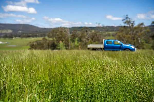 Yenileyici organik çiftçi, ot dokusu örnekleri alıyor ve bir çiftlikteki bitki gelişimine bakıyor. Bir çiftlikte sürdürülebilir tarım uygulaması