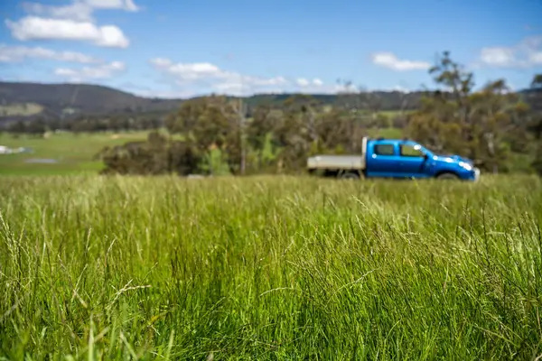 Yenileyici organik çiftçi, ot dokusu örnekleri alıyor ve bir çiftlikteki bitki gelişimine bakıyor. Bir çiftlikte sürdürülebilir tarım uygulaması