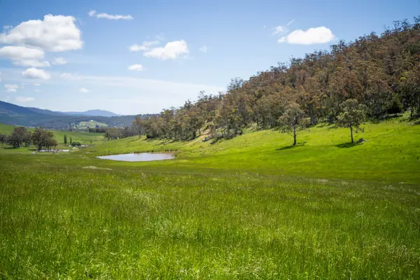 Green Pasture çiftliği sürdürülebilir tarım yapıyor Avustralya 'da yenilenebilir çiftliğin geleceği. Sağlıklı Toprak Yönetimi, Çevre Yönetimi ve Kırsal Peyzaj Gösterimi