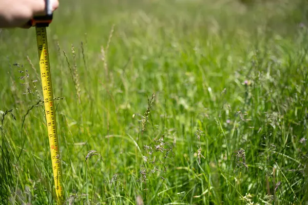 Avustralya 'daki bir çiftlikteki yemyeşil otlağı ölçmek. Veri güdümlü Kararları ve Yenilenebilir Tarım ve Arazi Üretiminin Geleceği için Sürdürülebilir Yönetimini Sembolize Etmek 