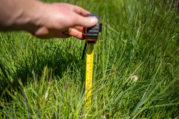 Avustralya 'daki bir çiftlikteki yemyeşil otlağı ölçmek. Veri güdümlü Kararları ve Yenilenebilir Tarım ve Arazi Üretiminin Geleceği için Sürdürülebilir Yönetimini Sembolize Etmek 