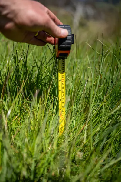 Avustralya 'daki bir çiftlikteki yemyeşil otlağı ölçmek. Veri güdümlü Kararları ve Yenilenebilir Tarım ve Arazi Üretiminin Geleceği için Sürdürülebilir Yönetimini Sembolize Etmek 