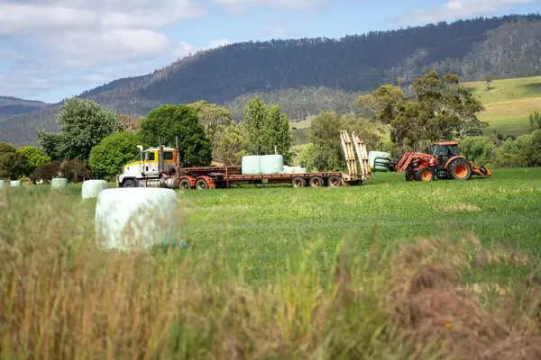 Avustralya Çiftliğinde Çiftlik Makineleri ve Saman Balyaları. Avustralya 'da Tarım Lojistiği, Fodder Üretimi ve Yenilenebilir Çiftçiliğin Geleceği İçin Önemli Uygulamalar Gösteriliyor