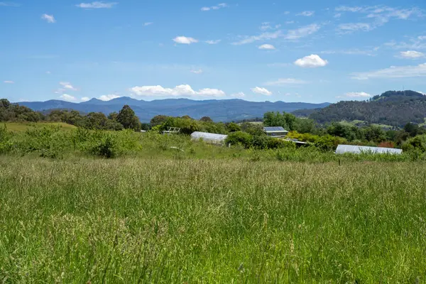 Green Pasture çiftliği sürdürülebilir tarım yapıyor Avustralya 'da yenilenebilir çiftliğin geleceği. Sağlıklı Toprak Yönetimi, Çevre Yönetimi ve Kırsal Peyzaj Gösterimi