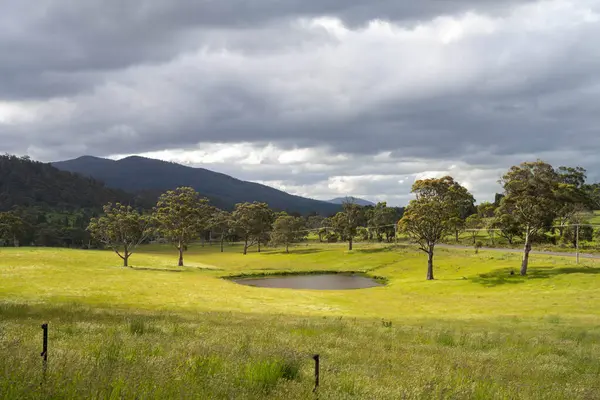 Green Pasture çiftliği sürdürülebilir tarım yapıyor Avustralya 'da yenilenebilir çiftliğin geleceği. Sağlıklı Toprak Yönetimi, Çevre Yönetimi ve Kırsal Peyzaj Gösterimi