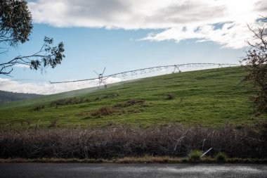 Rejeneratif tarım çiftliğinde tarımsal dönüş. Avustralya 'da sürdürülebilir tarım. Yuvarlak dönüş. Dairesel kırpma. büyüyen ot