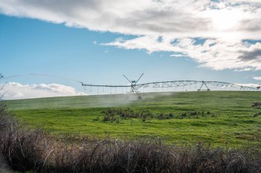 Rejeneratif tarım çiftliğinde tarımsal dönüş. Avustralya 'da sürdürülebilir tarım. Yuvarlak dönüş. Dairesel kırpma. büyüyen ot