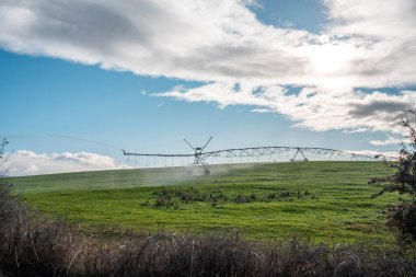 Rejeneratif tarım çiftliğinde tarımsal dönüş. Avustralya 'da sürdürülebilir tarım. Yuvarlak dönüş. Dairesel kırpma. büyüyen ot