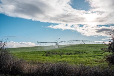 Rejeneratif tarım çiftliğinde tarımsal dönüş. Avustralya 'da sürdürülebilir tarım. Yuvarlak dönüş. Dairesel kırpma. büyüyen ot