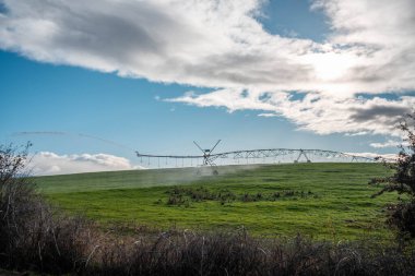 Rejeneratif tarım çiftliğinde tarımsal dönüş. Avustralya 'da sürdürülebilir tarım. Yuvarlak dönüş. Dairesel kırpma. büyüyen ot