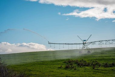 Rejeneratif tarım çiftliğinde tarımsal dönüş. Avustralya 'da sürdürülebilir tarım. Yuvarlak dönüş. Dairesel kırpma. büyüyen ot