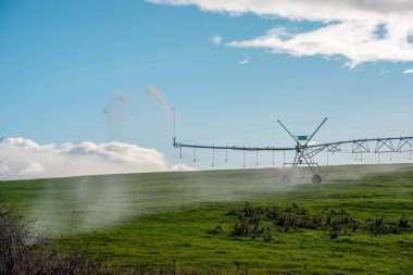 Rejeneratif tarım çiftliğinde tarımsal dönüş. Avustralya 'da sürdürülebilir tarım. Yuvarlak dönüş. Dairesel kırpma. büyüyen ot