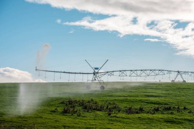 Rejeneratif tarım çiftliğinde tarımsal dönüş. Avustralya 'da sürdürülebilir tarım. Yuvarlak dönüş. Dairesel kırpma. büyüyen ot