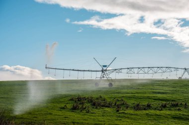 Rejeneratif tarım çiftliğinde tarımsal dönüş. Avustralya 'da sürdürülebilir tarım. Yuvarlak dönüş. Dairesel kırpma. büyüyen ot