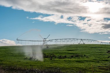 Rejeneratif tarım çiftliğinde tarımsal dönüş. Avustralya 'da sürdürülebilir tarım. Yuvarlak dönüş. Dairesel kırpma. büyüyen ot