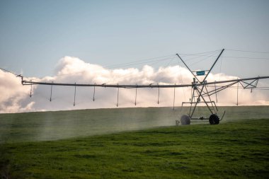 Rejeneratif tarım çiftliğinde tarımsal dönüş. Avustralya 'da sürdürülebilir tarım. Yuvarlak dönüş. Dairesel kırpma. büyüyen ot