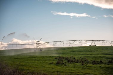 Rejeneratif tarım çiftliğinde tarımsal dönüş. Avustralya 'da sürdürülebilir tarım. Yuvarlak dönüş. Dairesel kırpma. büyüyen ot
