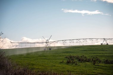 Rejeneratif tarım çiftliğinde tarımsal dönüş. Avustralya 'da sürdürülebilir tarım. Yuvarlak dönüş. Dairesel kırpma. büyüyen ot