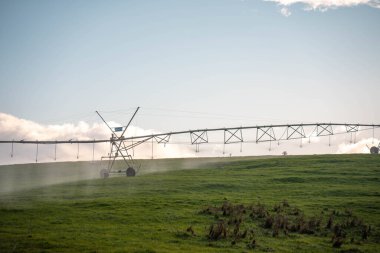 Rejeneratif tarım çiftliğinde tarımsal dönüş. Avustralya 'da sürdürülebilir tarım. Yuvarlak dönüş. Dairesel kırpma. büyüyen ot