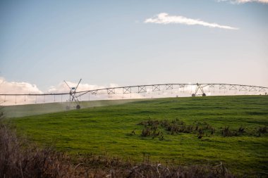 Rejeneratif tarım çiftliğinde tarımsal dönüş. Avustralya 'da sürdürülebilir tarım. Yuvarlak dönüş. Dairesel kırpma. büyüyen ot