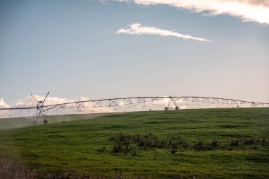 Rejeneratif tarım çiftliğinde tarımsal dönüş. Avustralya 'da sürdürülebilir tarım. Yuvarlak dönüş. Dairesel kırpma. büyüyen ot