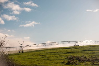 Rejeneratif tarım çiftliğinde tarımsal dönüş. Avustralya 'da sürdürülebilir tarım. Yuvarlak dönüş. Dairesel kırpma. büyüyen ot