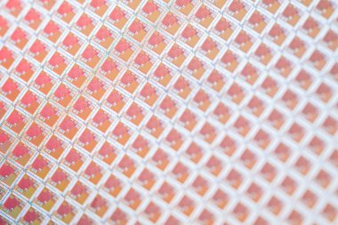 Yüksek teknolojili bir laboratuvarda bir işlemcinin Macro Stüdyo Çekimi. Bir laboratuvara yerleştirilen ve karmaşık yarı iletken tasarımını gösteren çok detaylı bir işlemci waffle 'ının makro çekimi..