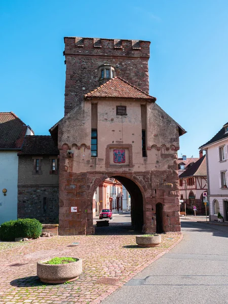 stock image Cernay, France - October 10, 2022: Medieval city gate of the village of Cernay, located at the beginning of the wine road in Alsace.