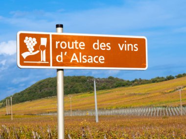 Fransa 'nın Alsace şehrindeki Route des Vins' in işareti. İngilizce çeviri: Alsace 'nin şarap rotası