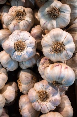 Close up of garlic in a pile at the vegetable market