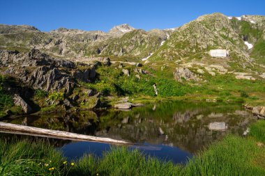 İsviçre 'deki Grimselpass dağ geçidinde ağaç gövdeli küçük bir gölet manzarası.