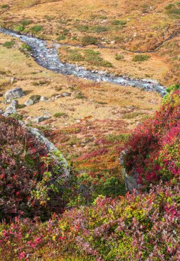 Beautiful colorful autumn mountain landscape in Fluelapass in Graubunden, Switzerland