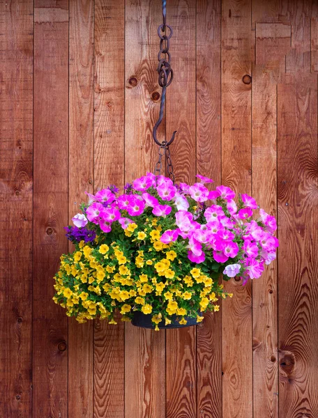 Декоративний Квітковий Горщик Жовтими Рожевими Квітами Дерев Яній Стіні — стокове фото