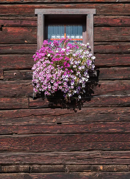 Decorative window flower pot with pink flowers on a wooden wall of historical swiss house