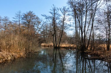 Boniswiler Badi, Seengen 'deki Aabach nehrinde doğal yüzme havuzu.