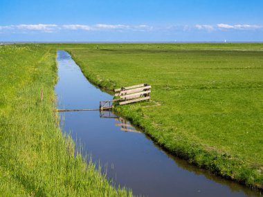 Marken, Hollanda 'da, sakin su kanallarıyla çevrili, polder ve bataklık boyunca uzanan geniş bir çayır manzarası..