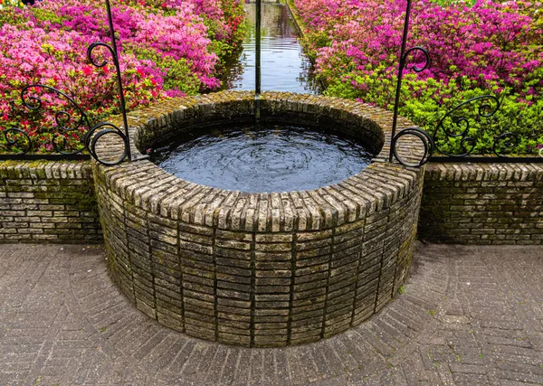Keukenhof Botanical Garden Netherlands Alive Color Growth Water Fountain Sparkle — Stock Photo, Image