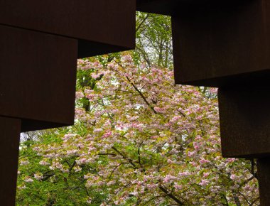 Doğanın güzelliği Hollandalıların ünlü botanik bahçesi Keukenhof 'da inşa edilmiş bir yapının çerçevesinde çiçek açıyor..