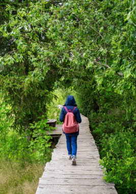 Almanya 'nın Kara Orman bölgesindeki Oberlehen ilçesi Bernau' daki Taubenmoo 'ların büyüleyici yüksek bozkırlarında 2.5 kilometre uzanan sihirli orman yolunda yürüyen bir kadın..
